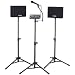 Amplivox