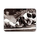 A ferret and a dog share a meal out of a bowl. - Mouse Mat Art247 Highest Quality Natural Rubber Mouse Mats - 250 x 190 x 6mm
