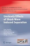 Unsteady Effects of Shock Wave induced Separation (Notes on Numerical Fluid Mechanics and Multidisciplinary Design)