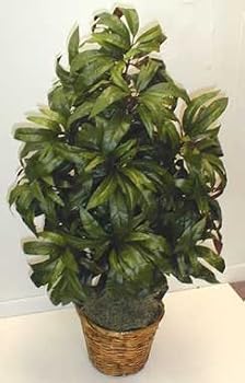 42" Mango Bush (red/green)