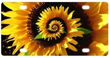 YeYeYe Custom Star War - Darth Vader Space Personalized Novelty Metal License Plate Car Decoration License Plate Cover Tag 11.8 X 6.1 inches