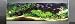 On The Edge 900311 Small Wall Aquarium