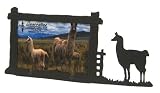 LLAMA FRAME 3X5 Horizontal Picture Frame
