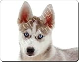 Review Advanta  / SIBERIAN HUSKY DOG Mouse Mat
