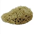 Natural Sea Sponge Small