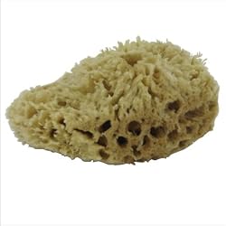 Natural Sea Sponge Small