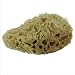 Natural Sea Sponge Small