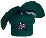 Phoenix Coyotes Green Snapback Adjustable Plastic Snap Back Cap / Hat