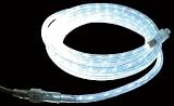 36' Clear LED Rope Light
