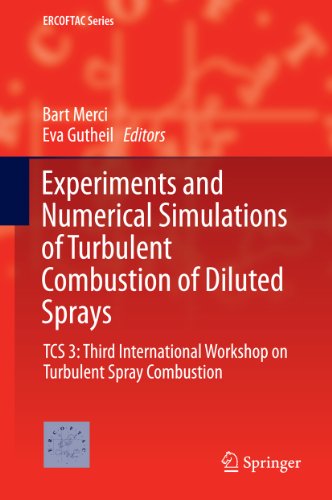 Experiments and Numerical Simulations of Turbulent Combustion of Diluted Sprays: TCS 3: Third International Workshop on Turbulent Spray Combustion: 19 (ERCOFTAC Series)