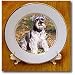 Schnauzer - 8 Inch Porcelain Plate