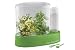 Search : Hydro Greenhouse 2