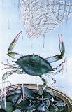 Maryland Cheasapeake Blue Crab Garden Flag