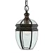 Royce Lighting RL2166/PORB Bayou Outdoor Pendant Lantern Oil Rubbed Bronze with Clear Beveled Globe