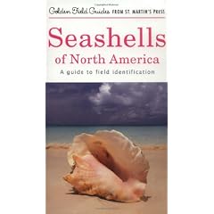 Seashells of North America: A Guide to Field Identification (Golden Field Guides)