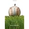 You Throw, Girl!: Even More Sports Books with Female Protagonists