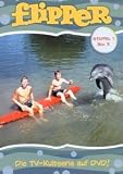 Flipper - Staffel 1, Box 3 (2 DVDs) - Brian Kelly