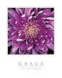 Grace - Purple Mum, Motivational Poster