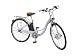 Sanyo Eneloop Electric Bike