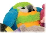 Mushabelly 6'' Paco Parrot