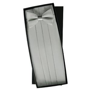 Silver Silk Tie and Cummerbund Set