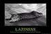 Laziness Art Poster Print, 36x24