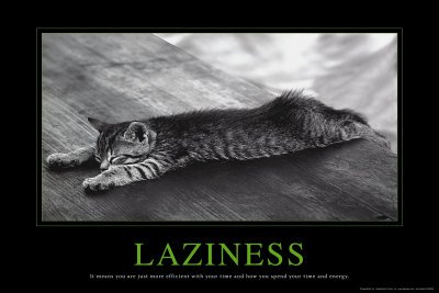 Laziness Collections Poster Print, 36x24