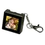 Digital Foci PAO-150 1.5-Inch Pocket Album OLED Keychain Digital Photo Viewer (Warm Gray)