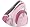 Pink Pig