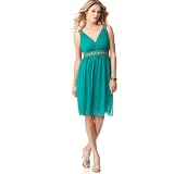 Maggy London Dress, V Neck Embroidered Waist