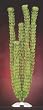 JW Pet Company Hornwort 17 in XXXLarge Aquarium Plant