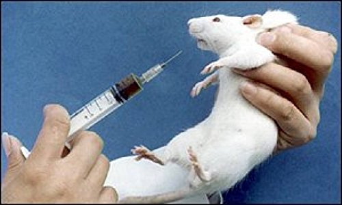 Esperimenti Con I Topi (Italian Edition)