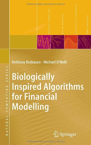 biologically inspired algorithms for financial modelling natural computing series