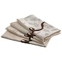 Lenox Holiday Nouveau Napkins, Set of 4