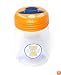 Summit Collegiate Money Jar - University Of Illinois