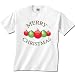 Merry Christmas Holiday Ornaments Graphic t-shirt for youth
