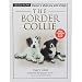 The Border Collie: Discover a Whole New World of Dogs