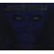 Was der Star Wars-Fan haben muss