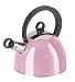 Price Comparison : Oggi Stainless Steel PINK Whistling Tea Kettle