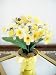 March Birth Month Flower - Daffodil