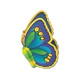Jungle Butterflies