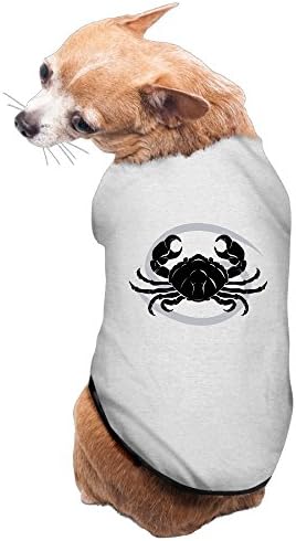 Cancer Astrology Horoscope 2016 L Dog Sweater