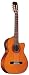 Alvarez Acoustic Guitar AC60SC Cutaway Classical Top Solid Cedar Back & Side Mahogany