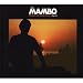 Cafe Mambo Ibiza 08: Mixed by Andy Cato