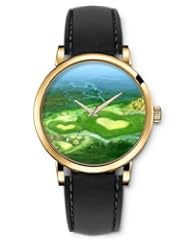 SPRAWL Aanalog Fashion Series Gold Ladies Watches of Genuine Black Leather Strap,Unique Wrist Watch for Women Girls Designed with Hearts in the field
