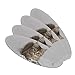 Shorthair Tabby Kitten Cat Computer Mouse Keyboard Double-Sided Oval Nail File Emery Board Set 4 Pack