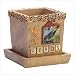 BIRD CACHE POT