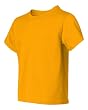 Blend 50/50 Youth Tee Shirt