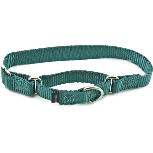 PetSafe Martingale Collar, 3/8