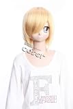 コスプレウィッグ COSER<br> HUNTER X HUNTER クラピカ gh398